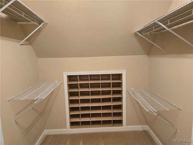 9701 Waterfowl Flyway, Chesterfield, VA 23838 - spacious closet featuring carpet floors