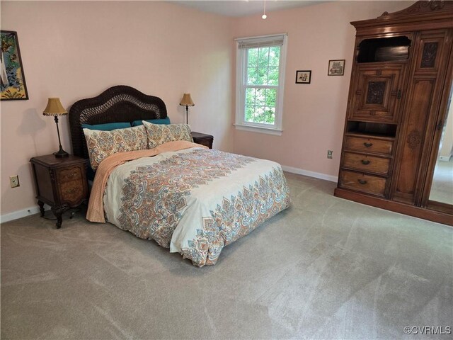 9701 Waterfowl Flyway, Chesterfield, VA 23838 - carpeted bedroom with baseboards