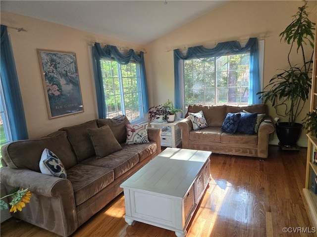 9701 Waterfowl Flyway, Chesterfield, VA 23838 - living area with vaulted ceiling, plenty of natural light, and wood finished floors