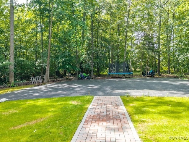 13610 Old Stage Rd, North Prince George, VA 23860 - view of property's community with a trampoline and a yard
