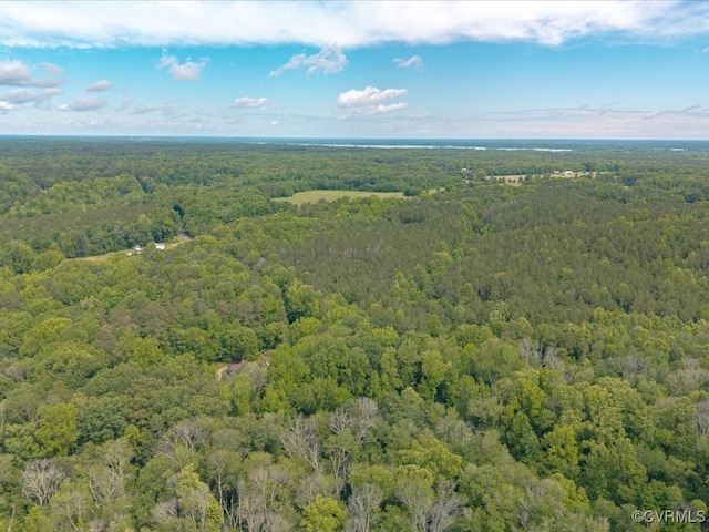 13610 Old Stage Rd, North Prince George, VA 23860 - bird's eye view of a forest