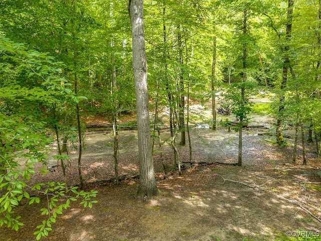 13610 Old Stage Rd, North Prince George, VA 23860 - view of local wilderness