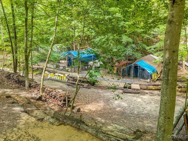 13610 Old Stage Rd, North Prince George, VA 23860 - view of yard featuring a forest view