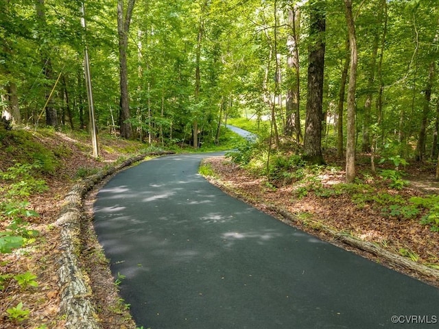 13610 Old Stage Rd, North Prince George, VA 23860 - view of street featuring a wooded view
