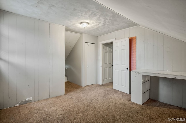 100 N Battery St, Henrico, VA 23075 - bonus room with carpet floors, vaulted ceiling, wood walls, and a textured ceiling
