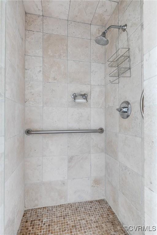 1350 Westwood Ave Unit 406, Richmond, VA 23227 - full bath with tiled shower