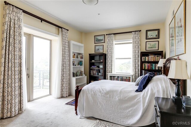 1350 Westwood Ave Unit 406, Richmond, VA 23227 - bedroom with access to outside and carpet flooring