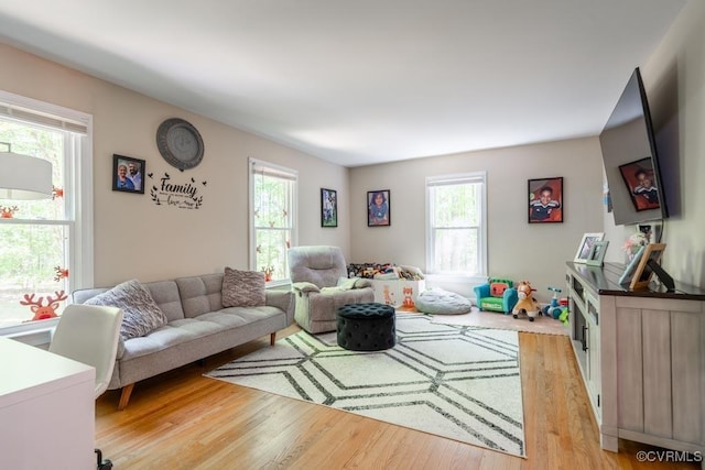 12601 W Patrick Henry Rd, Ashland, VA 23005 - living area with healthy amount of natural light and light wood-style floors