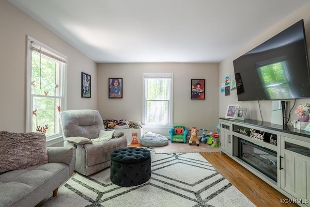 12601 W Patrick Henry Rd, Ashland, VA 23005 - living area with light wood finished floors