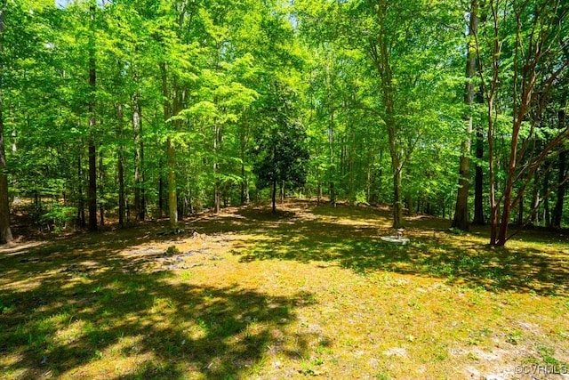 12601 W Patrick Henry Rd, Ashland, VA 23005 - view of yard featuring a wooded view