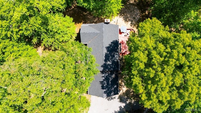 12601 W Patrick Henry Rd, Ashland, VA 23005 - view of subject property