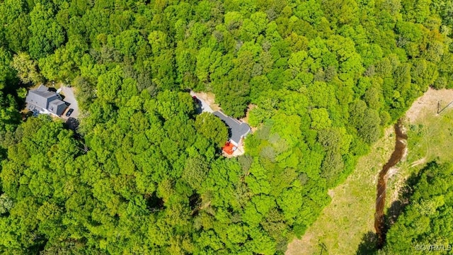12601 W Patrick Henry Rd, Ashland, VA 23005 - bird's eye view of a heavily wooded area