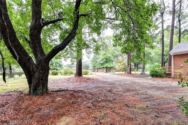 603 Pleasant St, Henrico, VA 23075 - view of yard