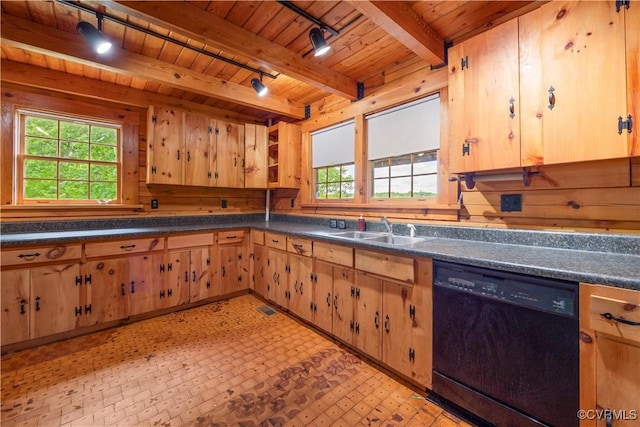10 N River Ct, Cartersville, VA 23027 - kitchen featuring rail lighting, dishwasher, a sink, wood ceiling with exposed beams, and dark countertops