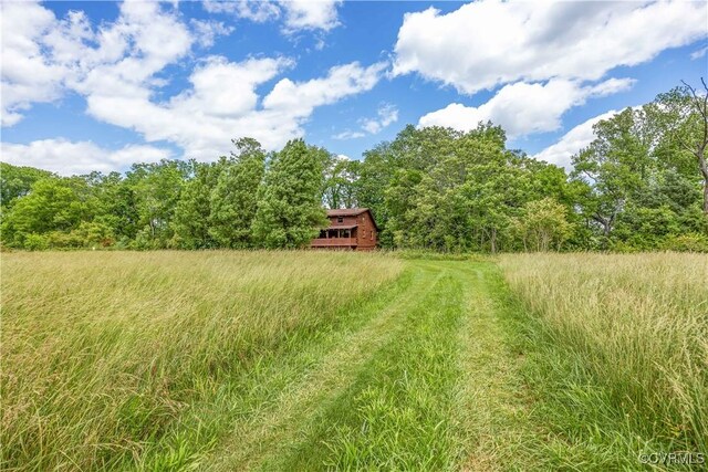 10 N River Ct, Cartersville, VA 23027 - view of yard featuring a wooded view