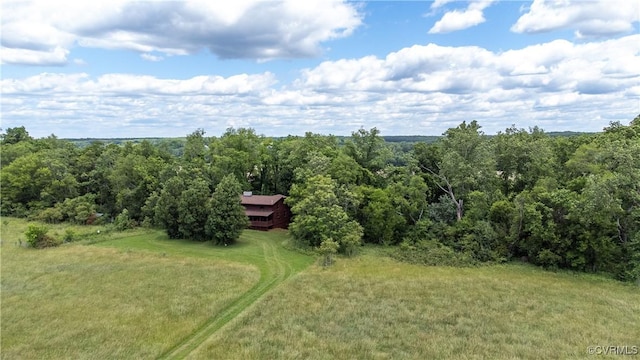 10 N River Ct, Cartersville, VA 23027 - view from above of property with a forest