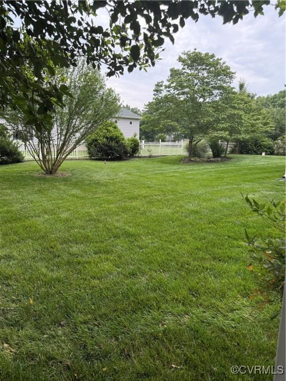 12605 Long Branch Ct, Chesterfield, VA 23832 - view of yard