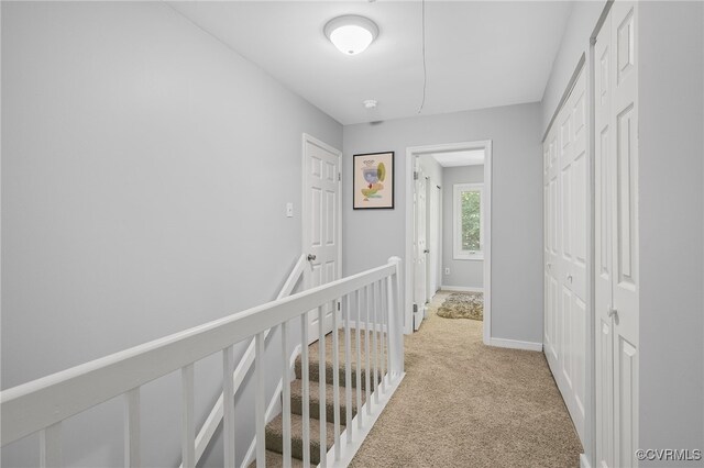 1417 Sycamore Mews Cir, Midlothian, VA 23113 - hall with light colored carpet and baseboards