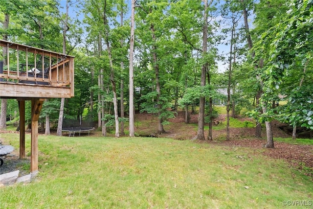 17 Brougham Rd, Fluvanna, VA 22963 - view of green lawn with a trampoline and a wooden deck