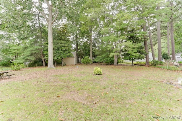 449 Martha Lee Dr, New Market, VA 23666 - view of yard