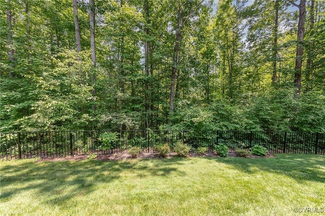 17231 Ivory Bill Ln, Chesterfield, VA 23838 - photo 33