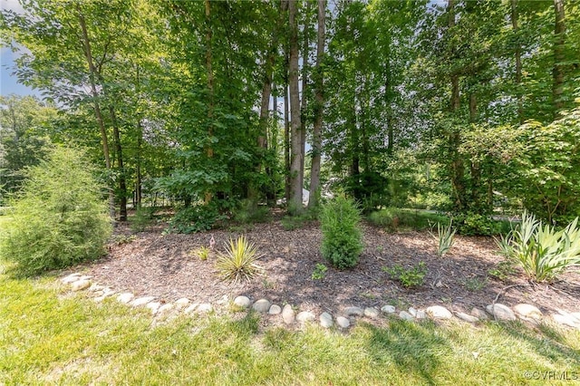 17231 Ivory Bill Ln, Chesterfield, VA 23838 - view of undeveloped land