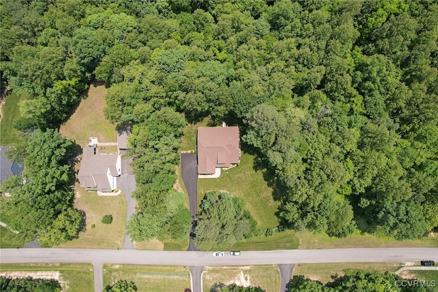 17231 Ivory Bill Ln, Chesterfield, VA 23838 - aerial view of property and surrounding area with a forest