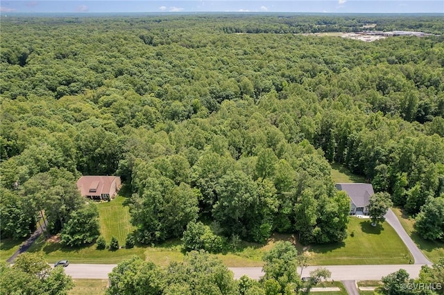 17231 Ivory Bill Ln, Chesterfield, VA 23838 - photo 35