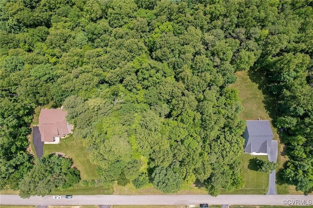 17231 Ivory Bill Ln, Chesterfield, VA 23838 - aerial view of property's location with a heavily wooded area