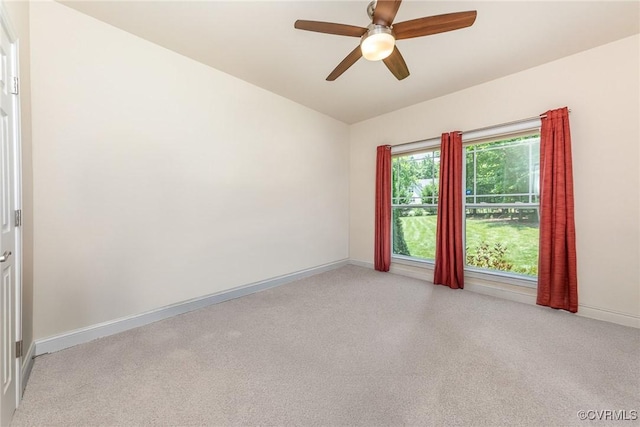 17231 Ivory Bill Ln, Chesterfield, VA 23838 - photo 20