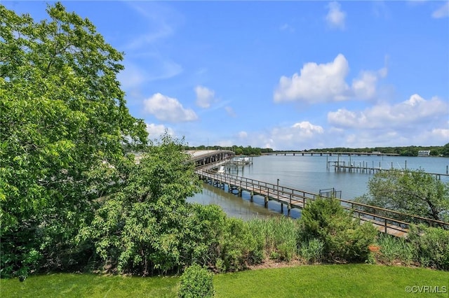 4250 Granby St Unit 105, Norfolk, VA 23504 - dock featuring a water view