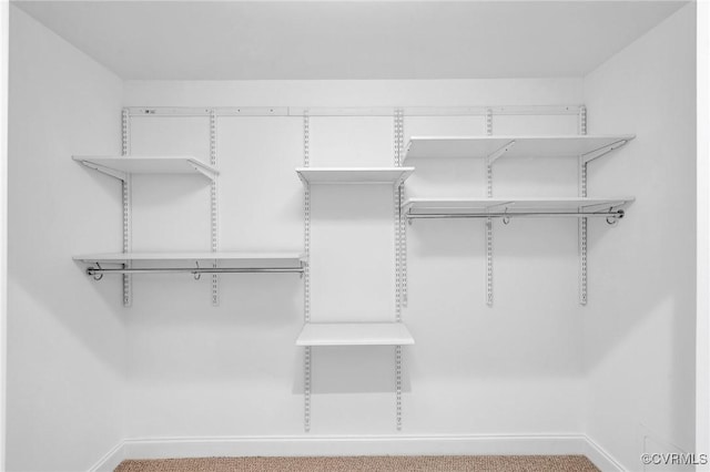 4250 Granby St Unit 105, Norfolk, VA 23504 - view of walk in closet