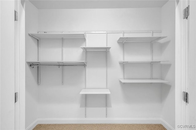 4250 Granby St Unit 105, Norfolk, VA 23504 - walk in closet with carpet flooring