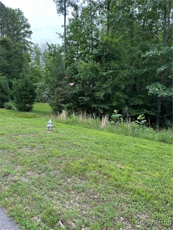 17237 Ivory Bill Ln, Chesterfield, VA 23838 - photo 2