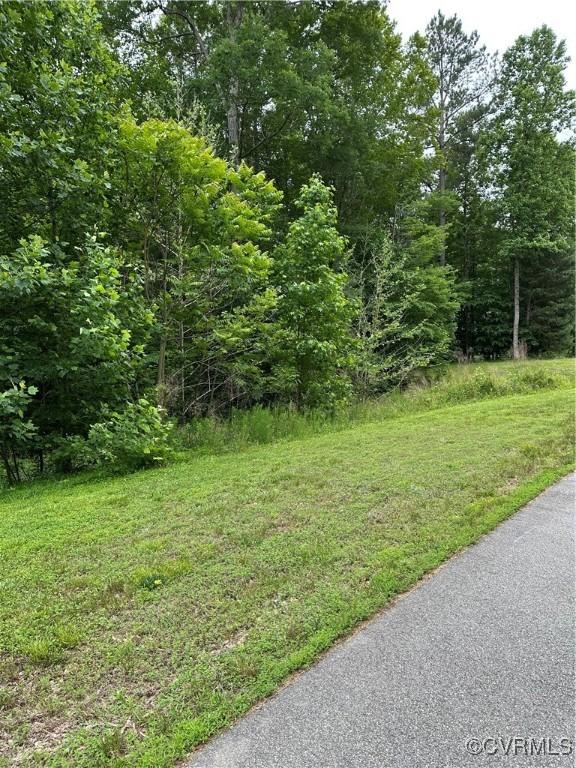 17237 Ivory Bill Ln, Chesterfield, VA 23838 - photo 1