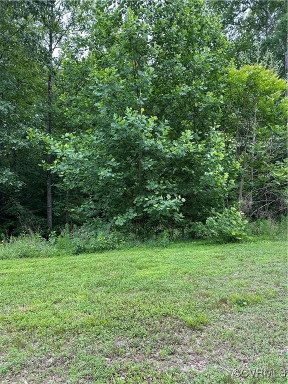 17237 Ivory Bill Ln, Chesterfield, VA 23838 - photo 3