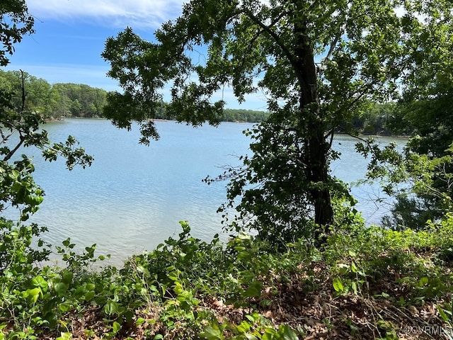 592 Magnolia Ln, Heathsville, VA 22473 - water view