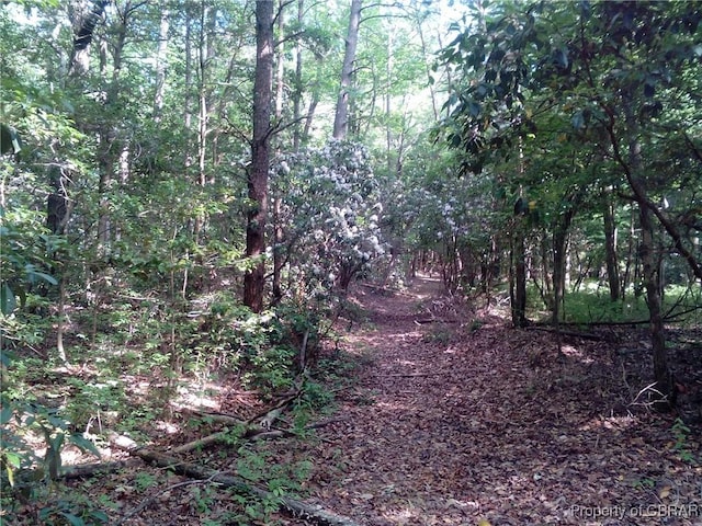 0000 Millers Landing Rd, Gloucester, VA 23061