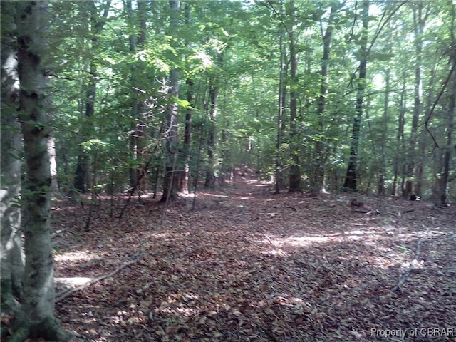 0000 Millers Landing Rd, Gloucester, VA 23061