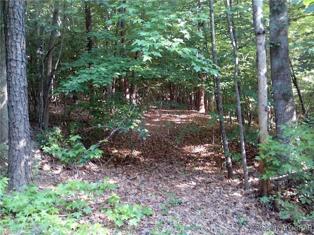 0000 Millers Landing Rd, Gloucester, VA 23061