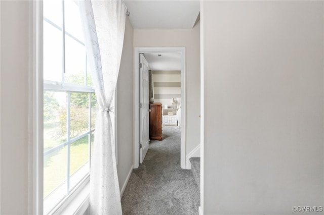14300 Wallingham Loop, Midlothian, VA 23114 - hall with carpet floors, healthy amount of natural light, and baseboards