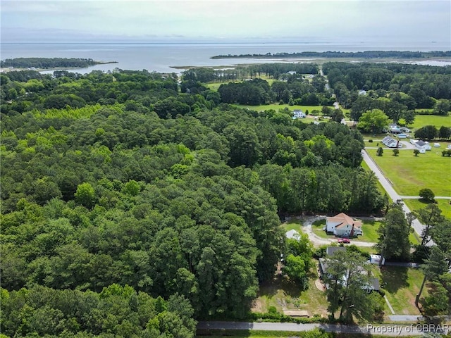 290 Circle Dr, Port Haywood, VA 23138 - aerial view of property's location with a large body of water and a forest