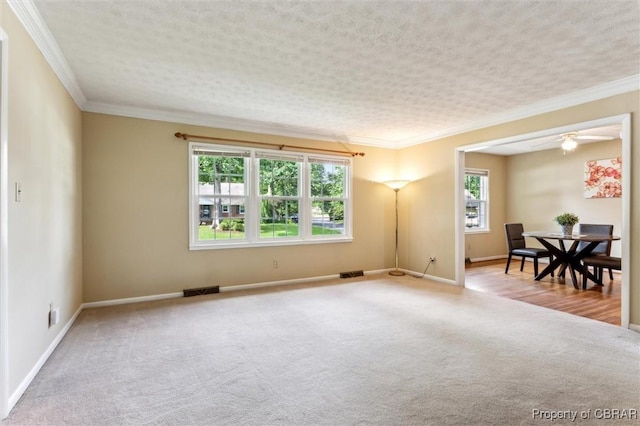 1 Beacon Cir, Hampton, VA 23664 - empty room with carpet floors, crown molding, baseboards, a textured ceiling, and ceiling fan