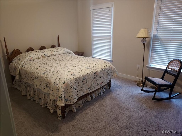 113 Comstock Dr, Colonial Heights, VA 23834 - bedroom with carpet floors, multiple windows, and baseboards