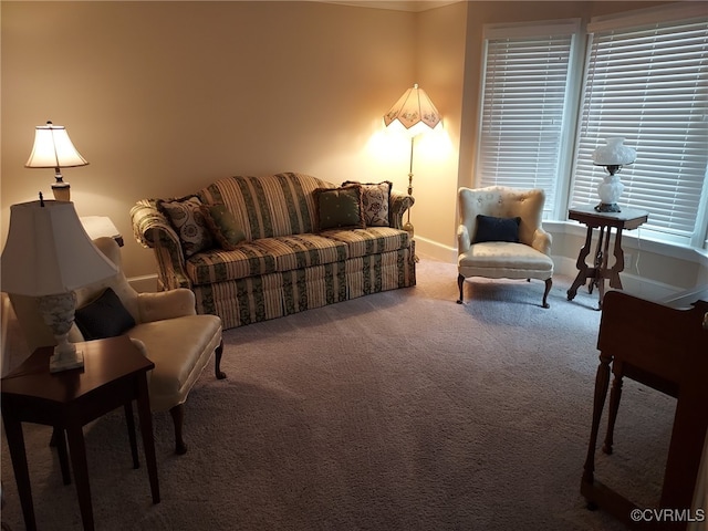 113 Comstock Dr, Colonial Heights, VA 23834 - living area with carpet floors and baseboards