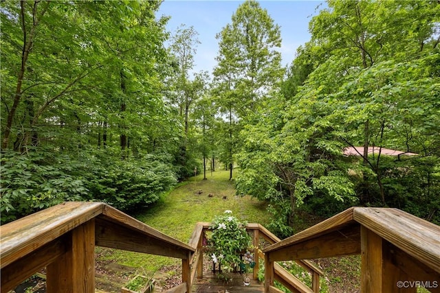198 Trices Lake Rd, Columbia, VA 23038 - view of yard