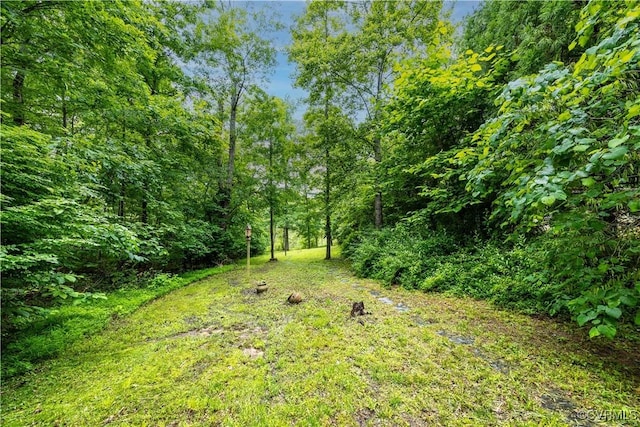 198 Trices Lake Rd, Columbia, VA 23038 - view of yard with a wooded view