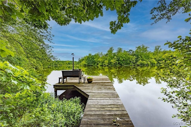 198 Trices Lake Rd, Columbia, VA 23038 - dock area with a water view