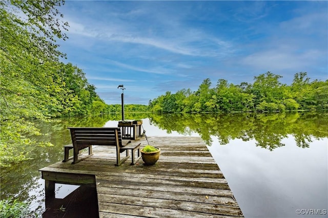 198 Trices Lake Rd, Columbia, VA 23038 - dock featuring a water view