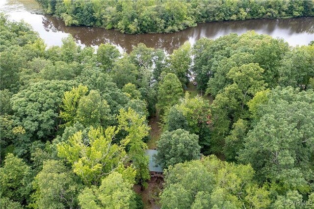 198 Trices Lake Rd, Columbia, VA 23038 - aerial view of a forest and a large body of water